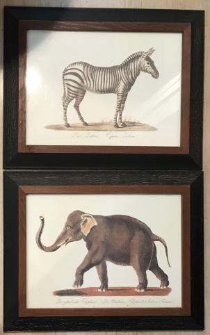 Safari Prints of Zebra & Elephant: Safari Prints of Zebra & Elephant. Each measures 17.5 inches x 22.5 inches.