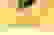 item-76235579=5