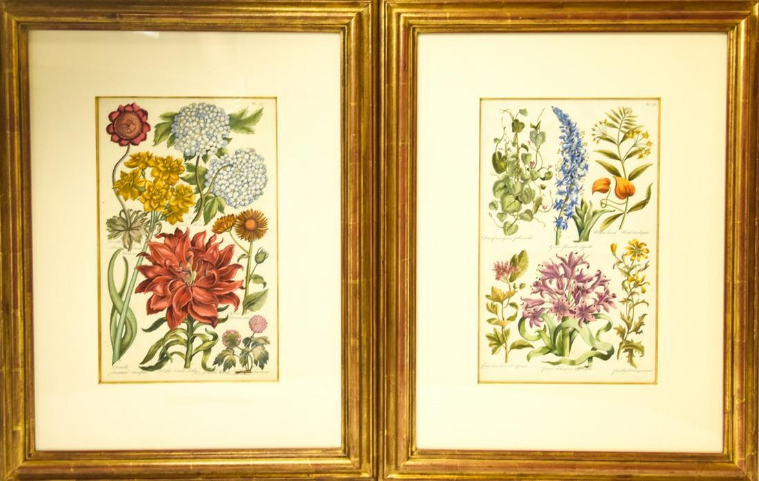 Pair Botanical Engraving Prints - Framed (1 of 9)