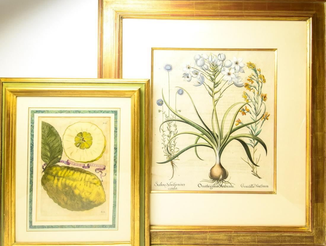 2 Botanical Hand Colored Copper Engravings (1 of 7)