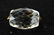 Antique 19th C Gold & Crystal Spinner Fob - 2