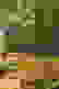 item-77864197=6