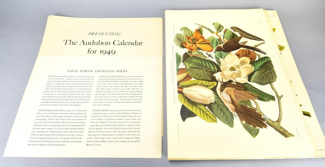 Collection of Vintage Audubon Bird Engravings (1 of 6)