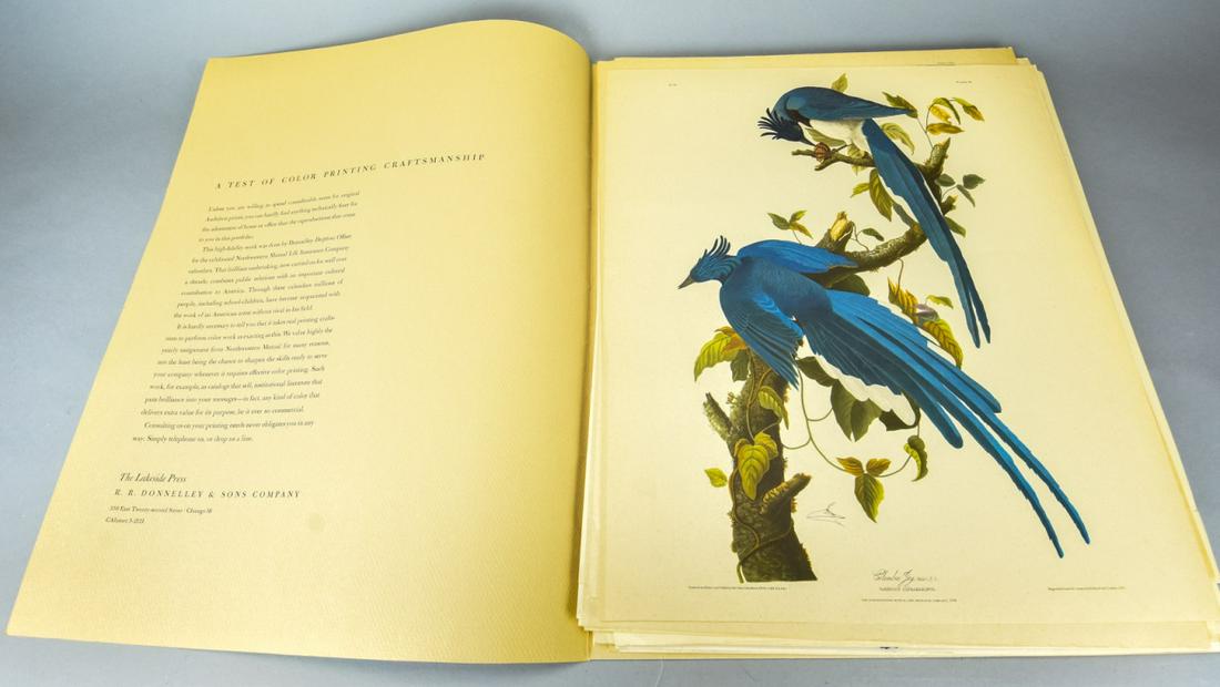 Collection of Vintage Audubon Bird Engravings (1 of 9)