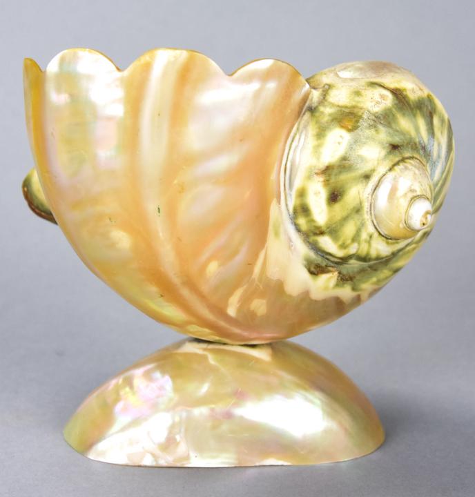 Antique French Palais Royal Carved Shell Compote (1 of 5)