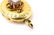 Antique 19th C Gold & Gold Filled Cameo Locket - 3