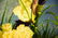Signed Oil Painting of a Garden Scene - 3