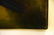 Signed Oil Painting of Two Exotic Parrots - 2