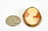 Vintage 10kt Yellow Gold Carved Shell Cameo Brooch - 5