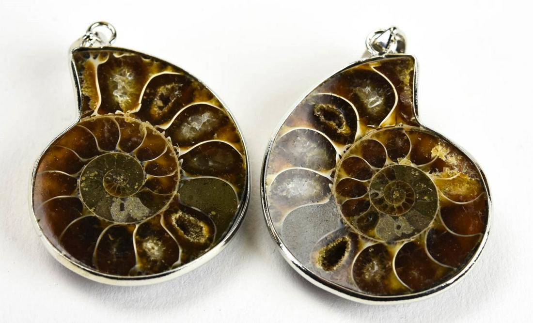 Pair Ammonite Fossils Mounted as Necklace Pendants (1 of 6)
