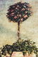Collection Photographer Julie Nightingale Prints - 6