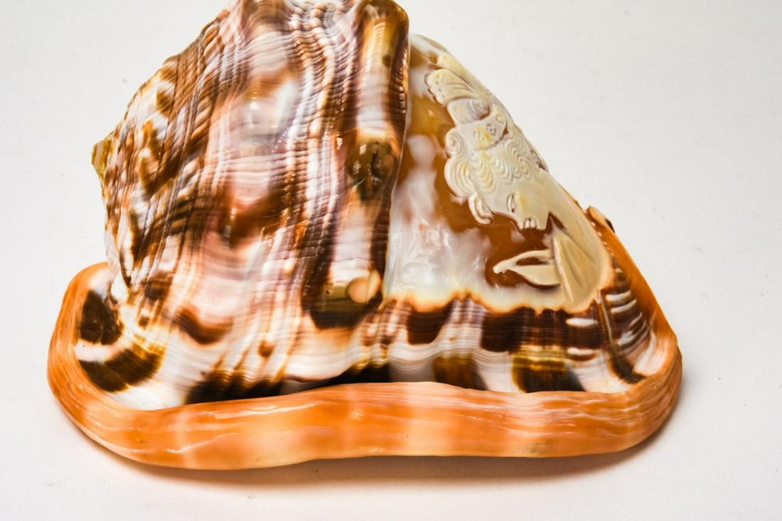 Signed Large Hand Carved Sea Shell w Cameo (1 of 7)