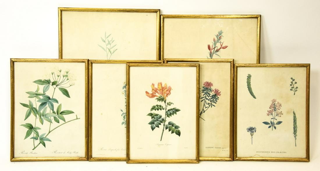 Antique Redoute Hand Colored Botanical Engravings (1 of 6)