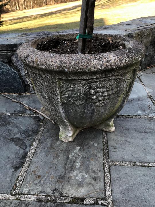 Antique Large Cast Stone Grape Motif Planter (1 of 4)