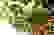 item-82824898=4