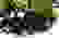 item-82824898=6