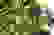 item-82824898=7