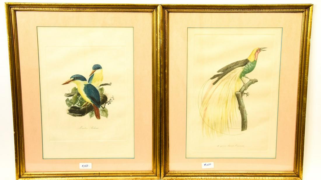 Pair Antique Hand Colored Framed Bird Engravings (1 of 4)
