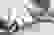 item-84751524=6