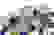 item-84751894=3