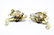 Vintage C 1940 Miriam Haskell Brooch & Earrings - 6