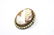 Two Vintage Shell Cameos & Two Cross Pendants - 2