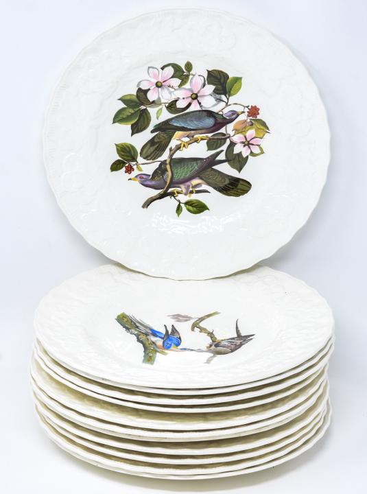 Alfred Meakin Birds of America Twelve Plates: Alfred Meakin Birds of America 12 Plates - Fabulous plates by Alfred Meakin England with a nice variety of birds. Reproduced from the elephant folio of Audubon’s Birds of America. Lot includes 12 Lu