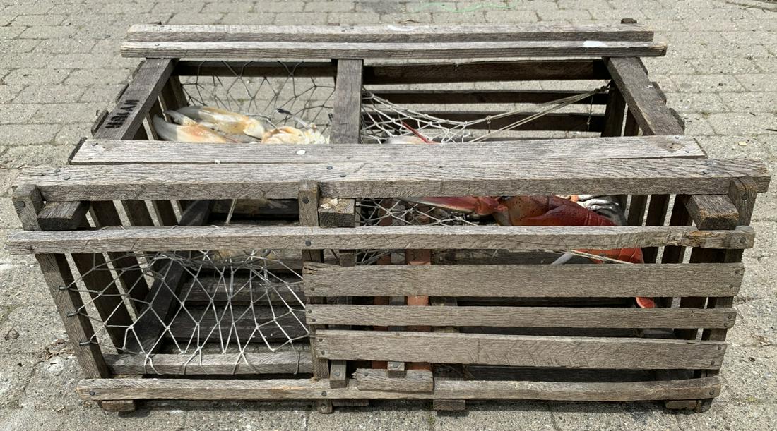 Vintage Lobster Cage W Faux Lobster & Crab (1 of 3)