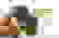 item-86561593=2