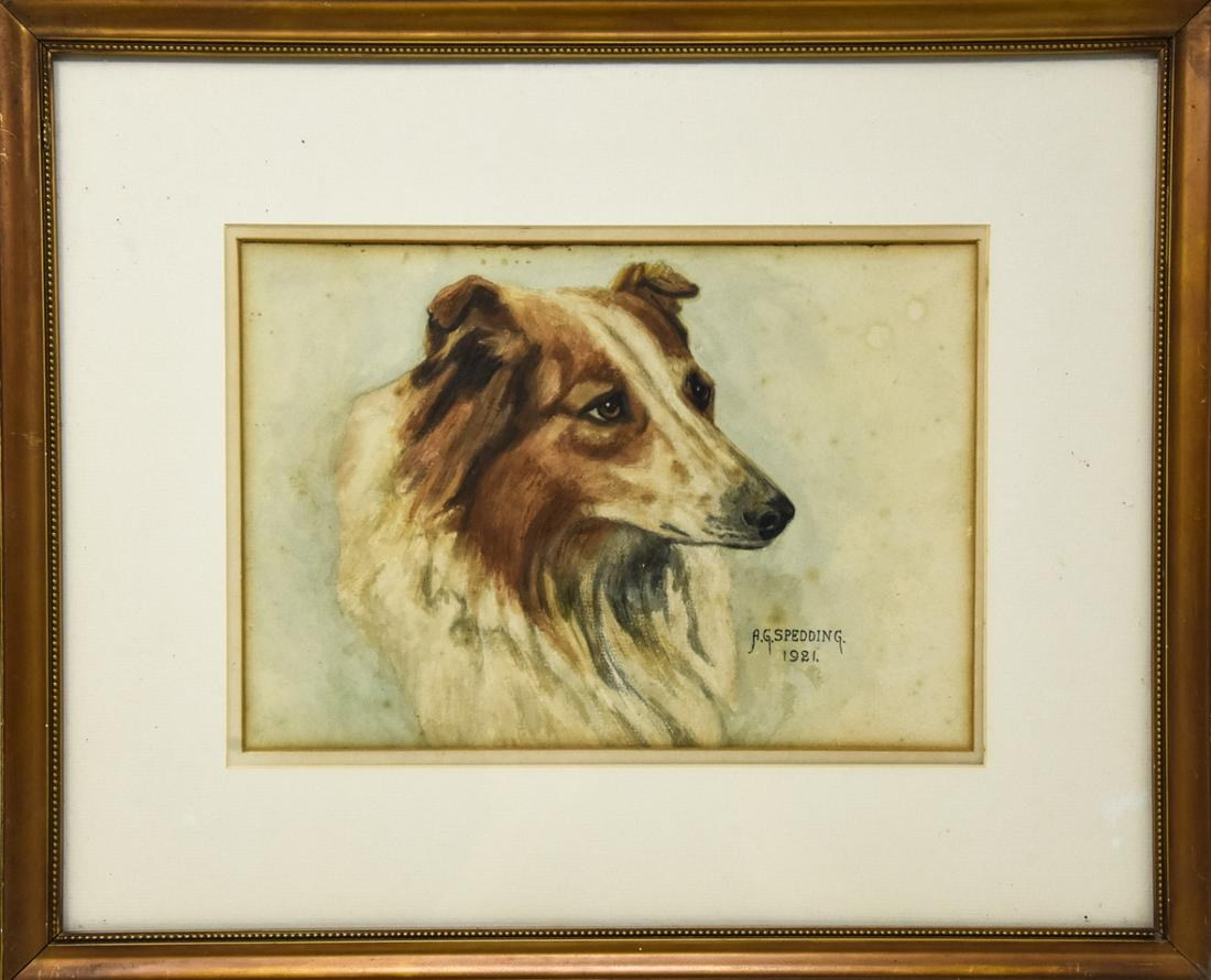 Antique C 1921 Watercolor Painting of a Collie Dog (1 of 5)