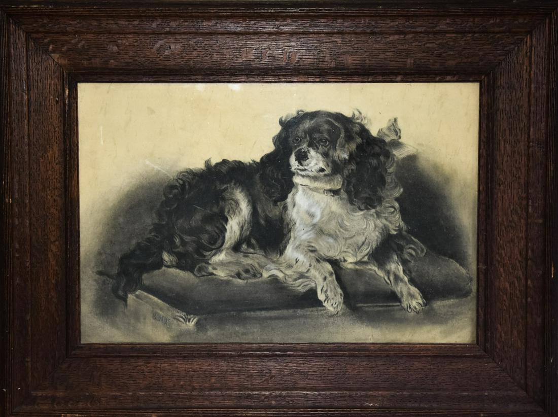Antique Charcoal & Pencil Cavalier Dog Drawing (1 of 7)
