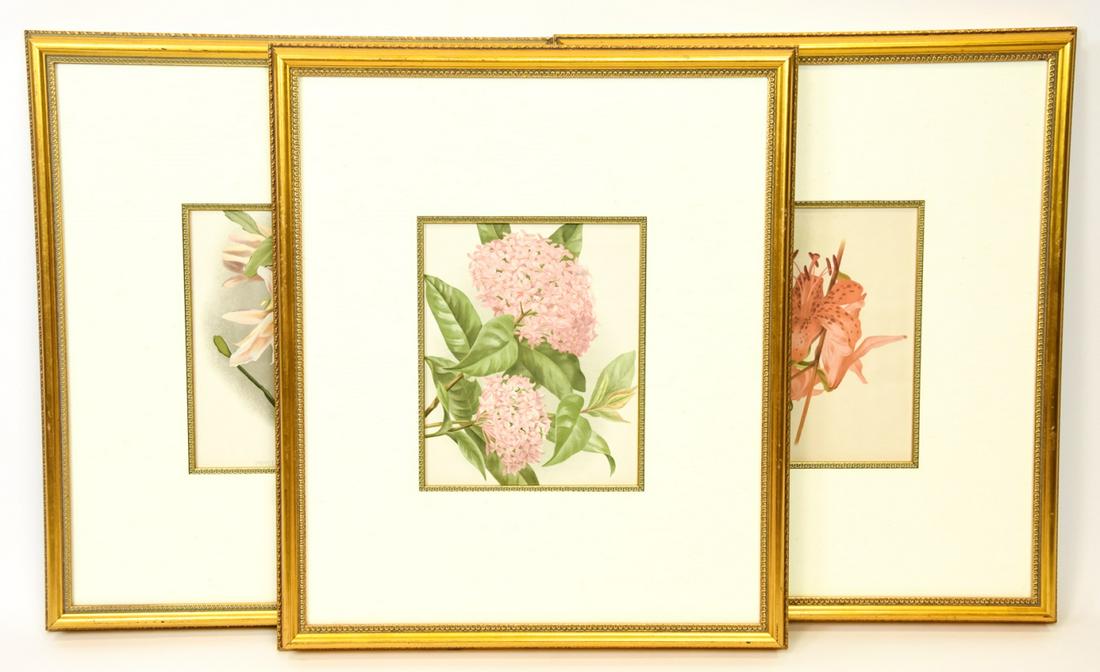 3 Professionally Framed Botanical Prints (1 of 8)