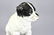 Antique German C 1900 Painted Bisque Dog - 6