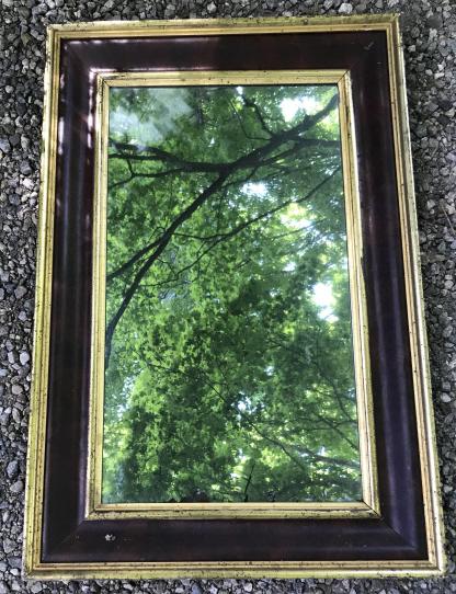 Antique 19th C Burl Wood & Gilt Decorated Mirror (1 of 3)
