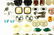 Collection of Vintage Costume Jewelry Earrings - 9