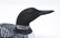Artisan Signed Hand Painted Ceramic Duck Decoy - 2