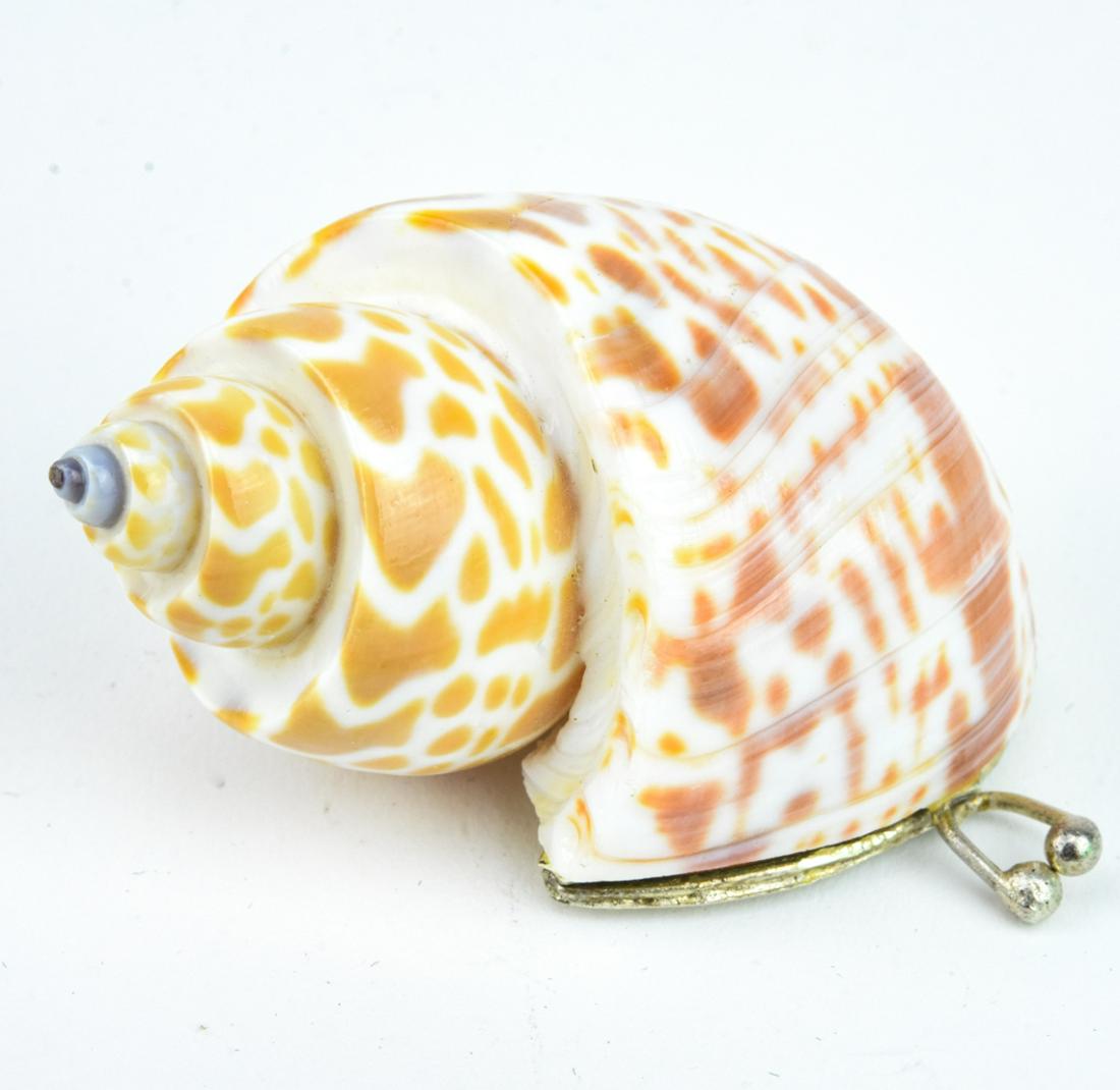 Vintage Handmade Natural Seashell Snuff / Pill Box: Vintage Handmade Natural Seashell Snuff / Pill Box. Measures 2.75 inches in length.