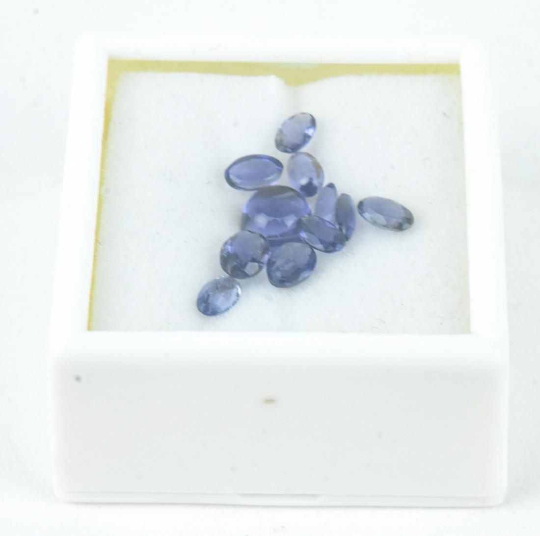 Group of Loose Iolite Faceted Gemstones: Group of Loose Iolite Faceted Gemstones