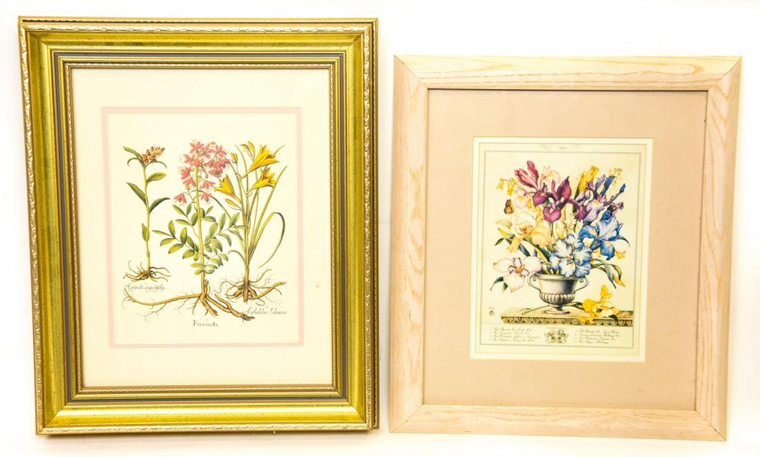 Pair Framed & Matted Floral Botanical Prints (1 of 7)