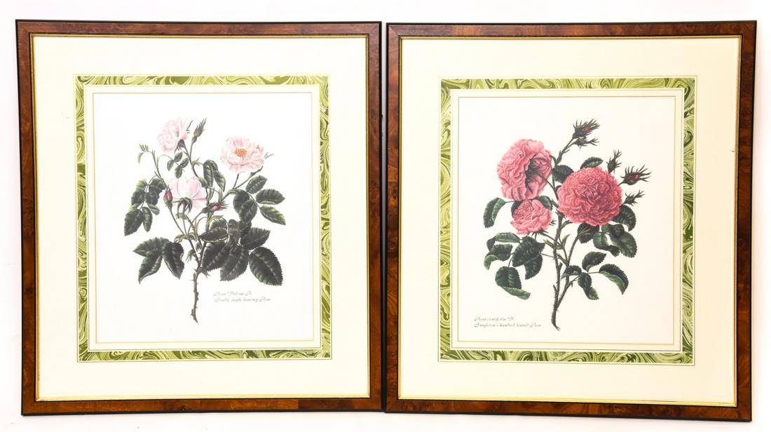 Pair Framed & Matted Floral Botanical Prints (1 of 7)