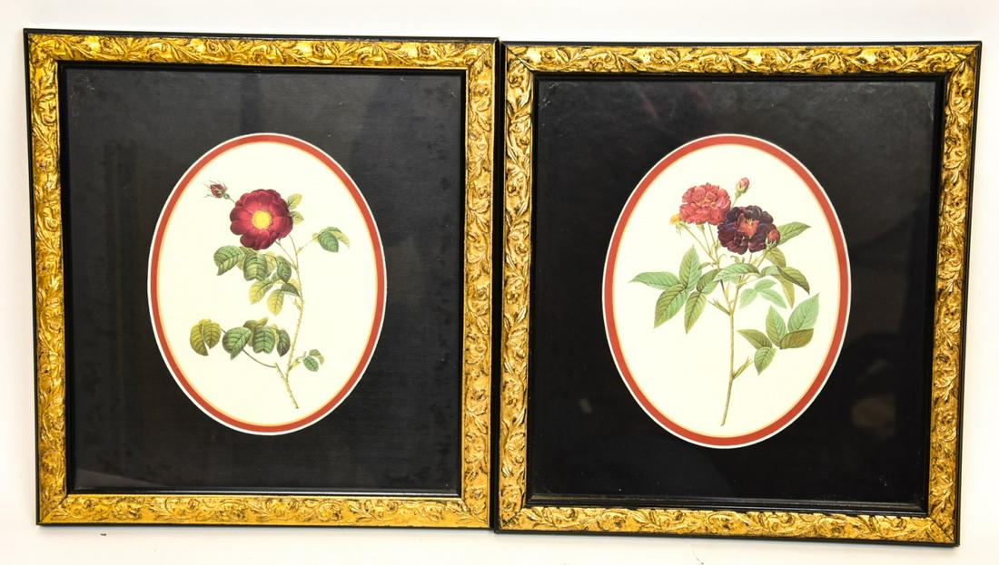 Pair Framed & Matted Red Rose Botanical Prints (1 of 7)