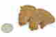 item-92144393=3