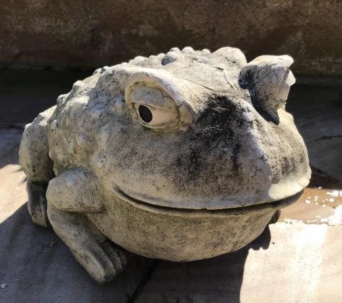 Concrete and Resin Composite Outdoor Frog Statue (1 of 3)