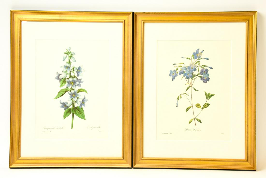 Pair Matted & Framed Pierre Redoute Floral Prints (1 of 9)