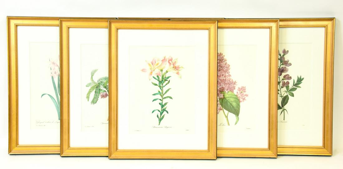 Set of 6 Gilt Framed Redoute Botanical Prints (1 of 8)