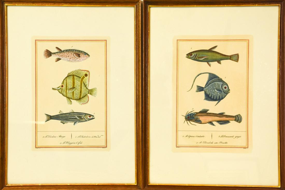 Pair Framed Buffon Hand Colored Fish Engravings (1 of 10)
