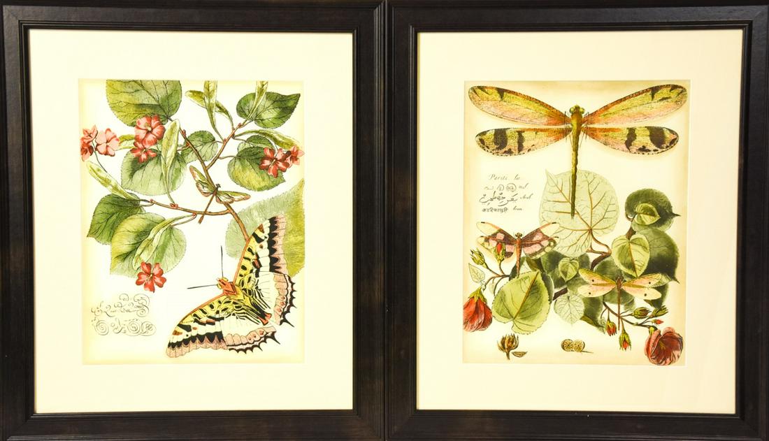 Pair Framed Butterfly Botanical Prints (1 of 7)
