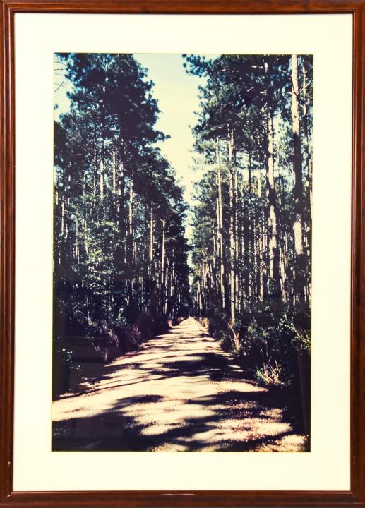Framed Nature Landscape Photograph (1 of 8)