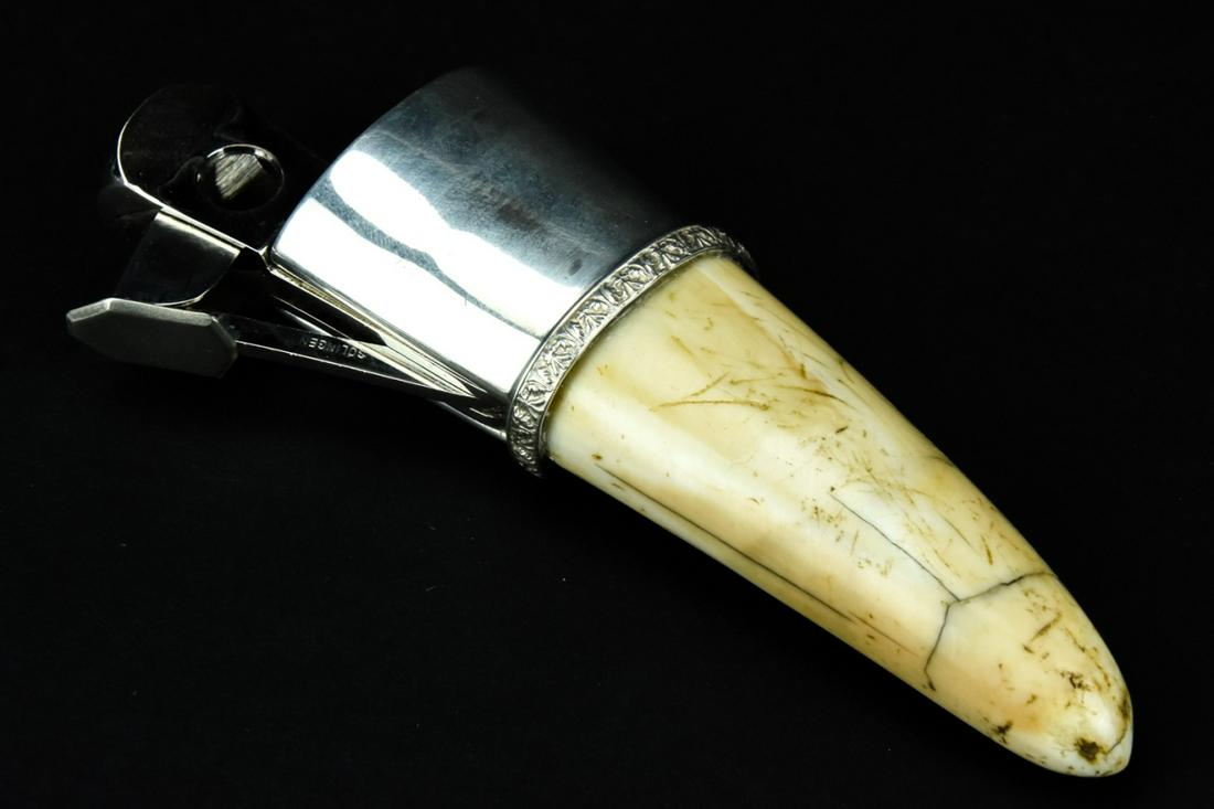 Sterling Silver Mounted Whale's Tooth Cigar Cutter: Sterling Silver Mounted Whale's Tooth Cigar Cutter. With Solingen German stainless blade. Hallmarked on blade. Measures 5 inches long x 2.25 inches wide.