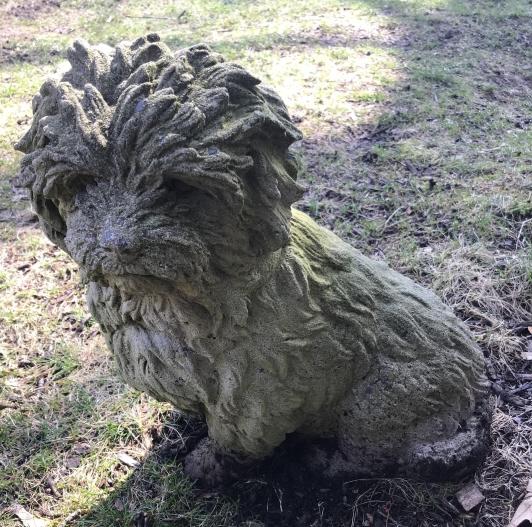 Cast Stone Garden Statue of Greyfriars Bobby Dog (1 of 4)